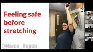 Recognizing Emotional Trauma in Software Teams - Nazee Hajebi