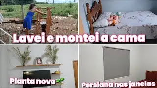 Lavei e montei a cama 🛌 colocamos as persianas// limpei os ventilador //planta nova 🌱