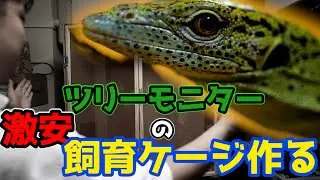 【自作ケージ】ツリーモニターのケージを激安で超簡単に作る【DIY】