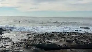 Beauty of Dee why NSW Australia 🇦🇺 Dee why beach