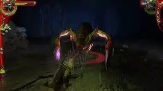 The Witcher 1 Killing kikimore queen (Hard Dificulty Not Normal Way)