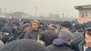 YANGIQÕRĞON QÕY BOZORI BOZORDA QÕYLAR UTA SEROP BÕLDI 25.01.2026
