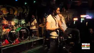 Fullanny & the Roots Controlahz live at Reggae Central, Dordrecht (NL)