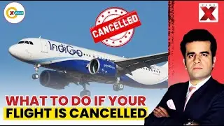 Indigo Mayhem | What Are Your Options If Your Flight Is Cancelled | Xplained By NewsX