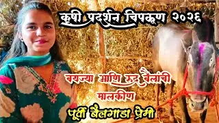  बैलगाडा मालकीण पूर्वी ताई यांनी कृषी प्रदर्शन चिपळूण येते गोठा या चित्र प्रदर्शन केल आहे नक्की पहा