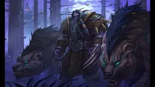 Mage tower Guardian Druid Completed | Firestorm  | Dragonflight 10.1.7 | WowLevelling