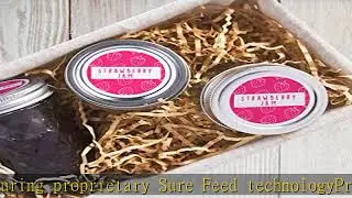 Avery High Visibility Printable Round Labels with Sure Feed, 2.5