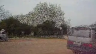 пгт. Липовцы часть 2