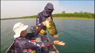 TUCUNARE ESPLODIU NA ISCA POPER VENHA VER 