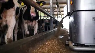 Publieksprijs Maatschap Van den Heuvel