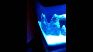 Coralife Biocube 29