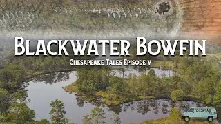 Prehistoric Fish in Ancient Virginia Swamps | Chesapeake Tales Episode V