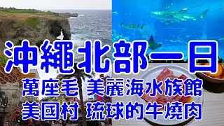 [日本][EP.81] 跟了又廢又舒服的沖繩北部一日團 真的很舒服嗎? | 萬座毛 古宇利島 美麗海水族館 美國村 燒肉 琉球的牛 | (Okinawa EP.2)
