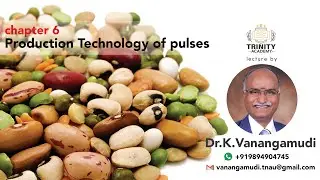 Production Technology of Pulses
