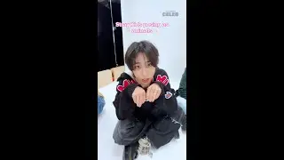 Stray Kids posing as animals 🥺
