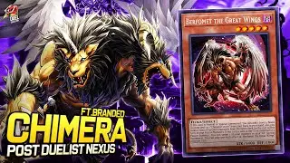 Chimera Branded |EDOPRO| Replays 🎮 + Decklist ✔️