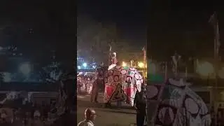 kandy procession