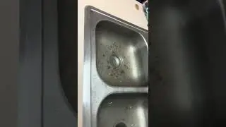 775 San Marco Circle Apt. 101 - Kitchen Sink Flooding Apartment