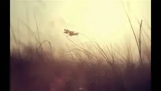 Abstract Note - In the Wind (Progressive House)