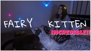 MAGICAL FAIRY WORLD WITH MY KITTEN