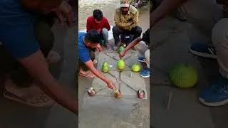 Wow ! Bottle gourds between black Brinjal Village funygame chelenge //villagegame ||unique video24m