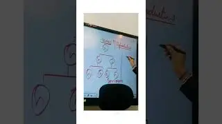 ##sahusir ##youtube class##voogly