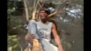 The Seeds - Ahoefa