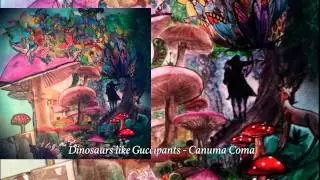 Dinosaurs like Guccipants - Canuma Coma [2014]