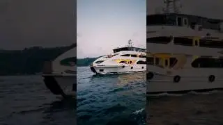 दुनिया की सबसे महंगी Cruise Ship | World Most Expensive Cruise Ship #shortvideo #dailyfacts #shorts