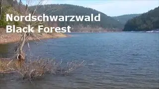 Nationalpark (?) Nordschwarzwald  - In the Black Forest - Im Schwarzwald