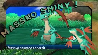 [LIVE] Shiny Grovyle/ Massko Shiny après 5158 RE's sur Pokémon Ultra-Lune via le Scanner des Îles !