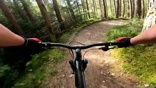 Fort William - Voodoo