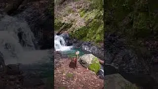 Underrated Bay Area waterfall hike 💦