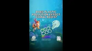 Does plastic pollution affect coral reefs?