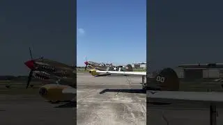 P40 Warhawk Spooling up #history  #plane #airplane #airforce #p40 #warhawk #memorialday