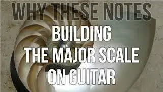 Building the Major Scale from Scratch on Guitar - Why These Notes