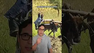 The Story of Coffee: From Dancing Goats to Global Revolution