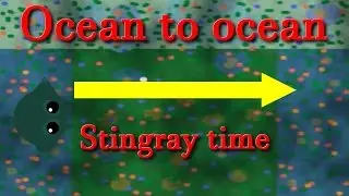 Mope.io ocean to ocean with Stingray