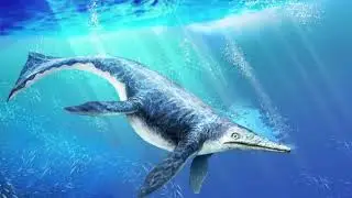 Shonisaurus: O Gigante dos Mares Tri&aacute;ssicos