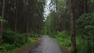 Rain 🌧️ Spruce Grove Historical park peaceful walking Tour # walking tour# Travel Aug 2025