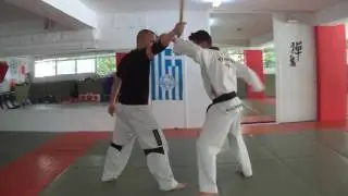 Taekwondo Techniques Stamatis Efstathiou stick defense