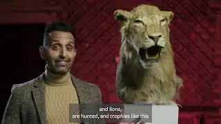 Stop the imports of hunting trophies: Dr. Khan and HSI team up to explain why