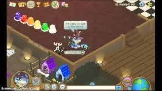 Getting A New Cheetah On Animal Jam!