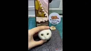 Kucingnya lucu ya kan 