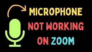 How to Fix Microphone Not Working in Zoom on Windows 11