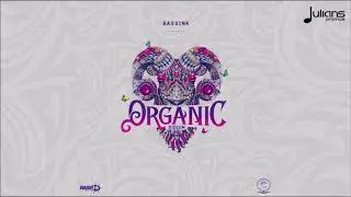 Lil Rick - No RH (Organic Riddim) 