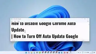 How to Disable Google Chrome Auto Update