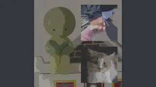 the traveling cat chronicles