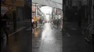 JAPAN 🇯🇵 TYPHOON #japan  #weather  #transformation  #shortvideo #walking #experience #train
