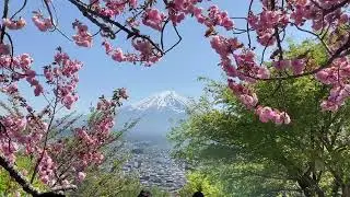 Scenic Mount Fuji Views | Japan Tours & Best Mt. Fuji Viewpoints #japantravel  #mountfuji